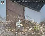Capi_Dubne_20250518_195002.jpg