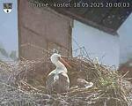 Capi_Dubne_20250518_200003.jpg