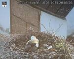 Capi_Dubne_20250518_200503.jpg