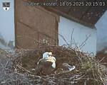 Capi_Dubne_20250518_201503.jpg