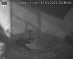 Capi_Dubne_20250518_223503.jpg