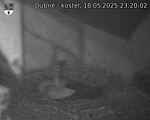 Capi_Dubne_20250518_232002.jpg