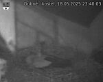 Capi_Dubne_20250518_234003.jpg