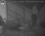 Capi_Dubne_20250519_021503.jpg