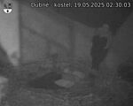 Capi_Dubne_20250519_023003.jpg