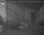 Capi_Dubne_20250519_024003.jpg