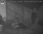 Capi_Dubne_20250519_031502.jpg