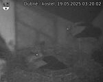 Capi_Dubne_20250519_032002.jpg