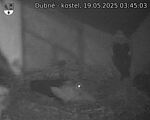 Capi_Dubne_20250519_034503.jpg