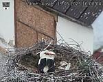Capi_Dubne_20250519_100004.jpg