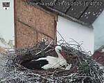 Capi_Dubne_20250519_104002.jpg