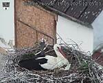 Capi_Dubne_20250519_120503.jpg