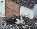 Capi_Dubne_20250519_122503.jpg