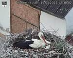 Capi_Dubne_20250519_123002.jpg