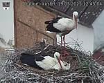 Capi_Dubne_20250519_124504.jpg