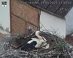 Capi_Dubne_20250519_134002.jpg