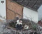 Capi_Dubne_20250519_143003.jpg