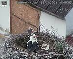 Capi_Dubne_20250519_144002.jpg