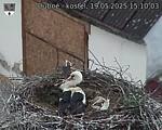 Capi_Dubne_20250519_151003.jpg