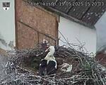 Capi_Dubne_20250519_152003.jpg