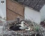 Capi_Dubne_20250519_154002.jpg