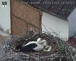 Capi_Dubne_20250519_160503.jpg