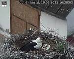 Capi_Dubne_20250519_162003.jpg