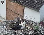 Capi_Dubne_20250519_163504.jpg