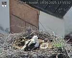 Capi_Dubne_20250519_175502.jpg