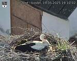 Capi_Dubne_20250519_191002.jpg