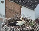Capi_Dubne_20250519_191502.jpg