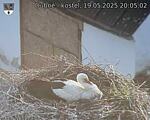 Capi_Dubne_20250519_200502.jpg