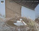 Capi_Dubne_20250519_201004.jpg