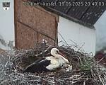 Capi_Dubne_20250519_204003.jpg