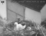 Capi_Dubne_20250519_211002.jpg