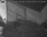 Capi_Dubne_20250519_215002.jpg