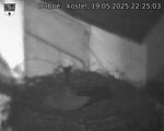 Capi_Dubne_20250519_222503.jpg