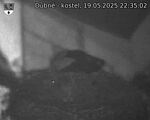 Capi_Dubne_20250519_223502.jpg