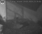 Capi_Dubne_20250519_233502.jpg