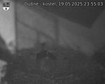 Capi_Dubne_20250519_235503.jpg
