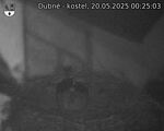 Capi_Dubne_20250520_002503.jpg