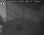 Capi_Dubne_20250520_004502.jpg