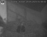 Capi_Dubne_20250520_010002.jpg