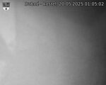 Capi_Dubne_20250520_010502.jpg