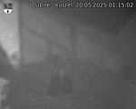 Capi_Dubne_20250520_011502.jpg