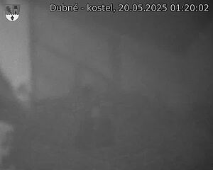 Capi_Dubne_20250520_012002.jpg (1350 x 1080)