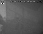 Capi_Dubne_20250520_012502.jpg