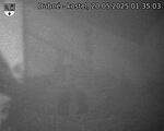 Capi_Dubne_20250520_013503.jpg