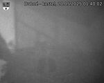 Capi_Dubne_20250520_014002.jpg