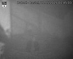 Capi_Dubne_20250520_014503.jpg
